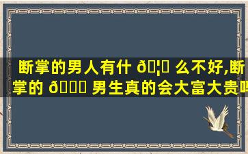 断掌的男人有什 🦉 么不好,断掌的 🐈 男生真的会大富大贵吗